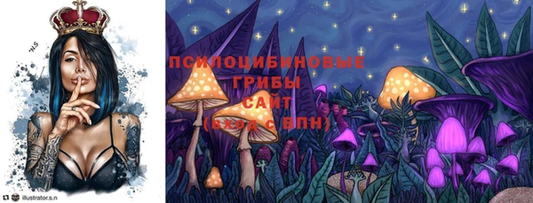 соль ск Каменногорск