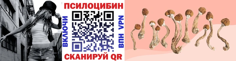 Купить закладки  Бирюсинск  Галлюциногенные грибы Magic Shrooms 